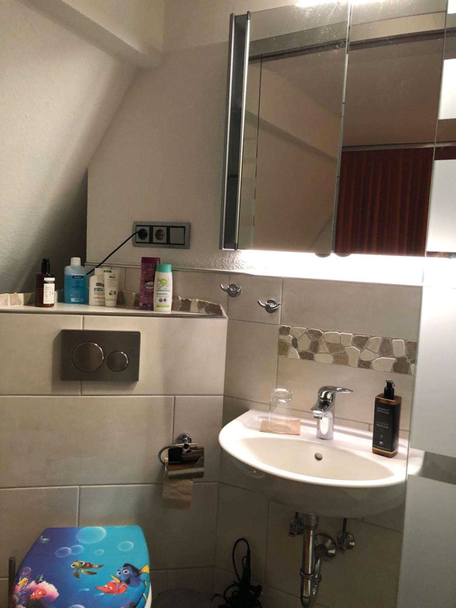 Aussichtszimmer Mit Modernem Glasbad Und Balkon Кобленц Екстериор снимка